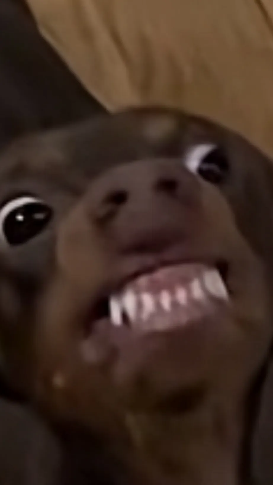 ai character: SpongeBob snaps?! background