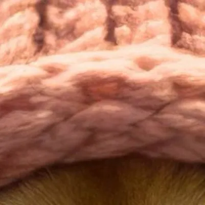 chat with ai character: Dogwifhat