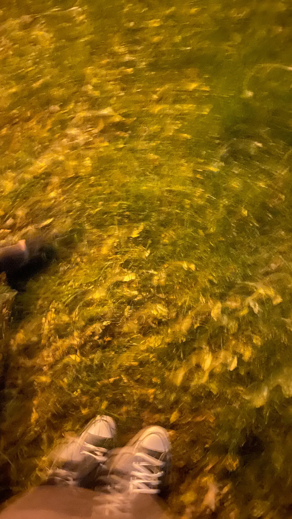 ai character: MHA REACT TO YOU background