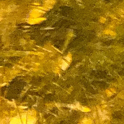 chat with ai character: MHA REACT TO YOU