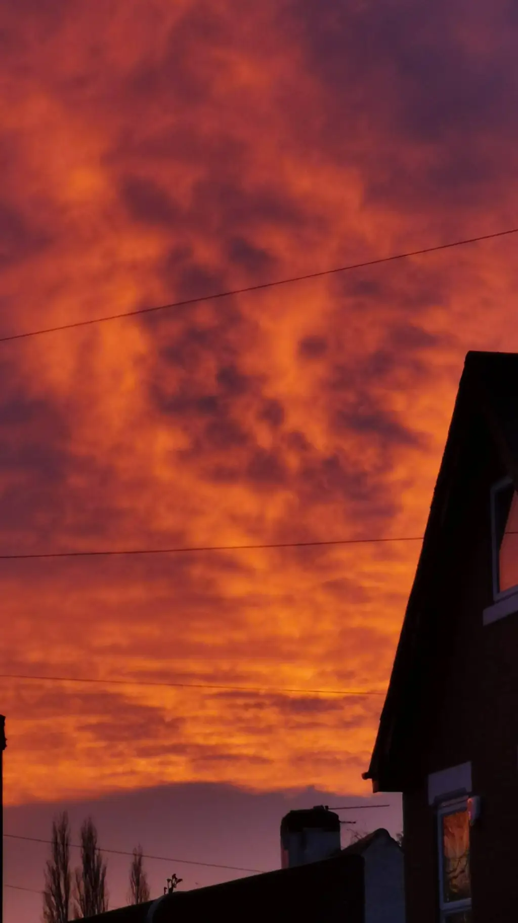 Talkie AI - Chat with Scp x dod