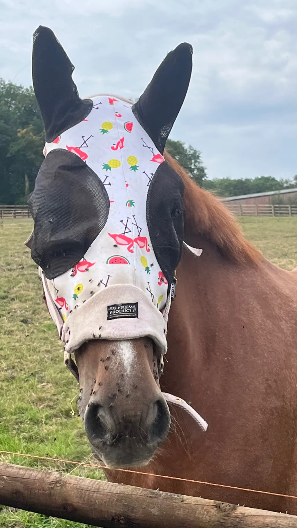 ai character: Diamond background