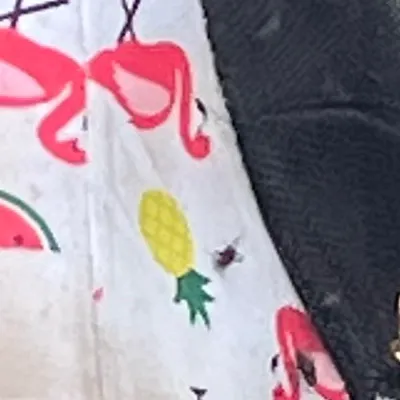 chat with ai character: Diamond