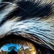 chat with ai character: HEHE RONALDO JR