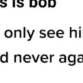 chat with ai character: bob