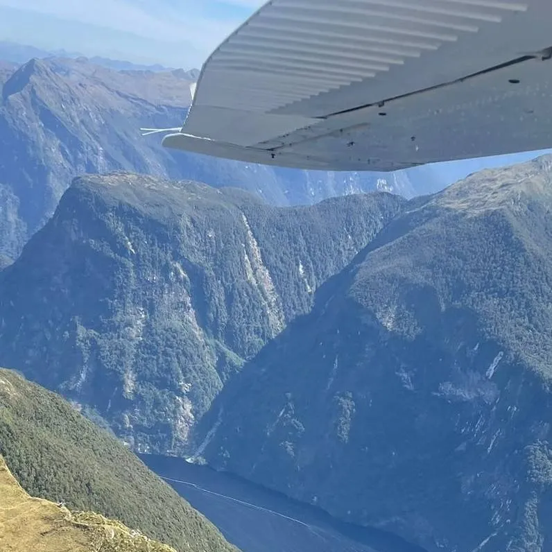 chat with ai character: Bunny 273