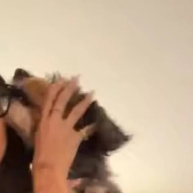 chat with ai character: madison beer