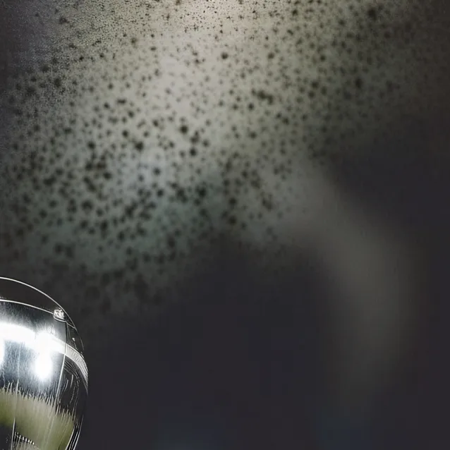 chat with ai character: Ronaldo 