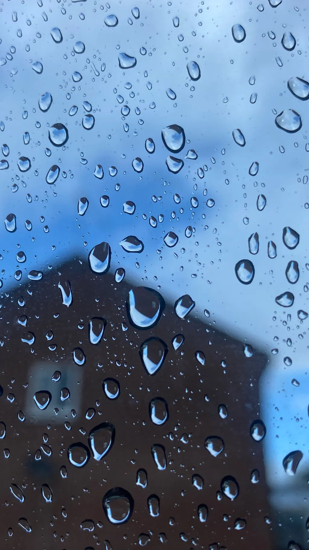 ai character: Zypher background