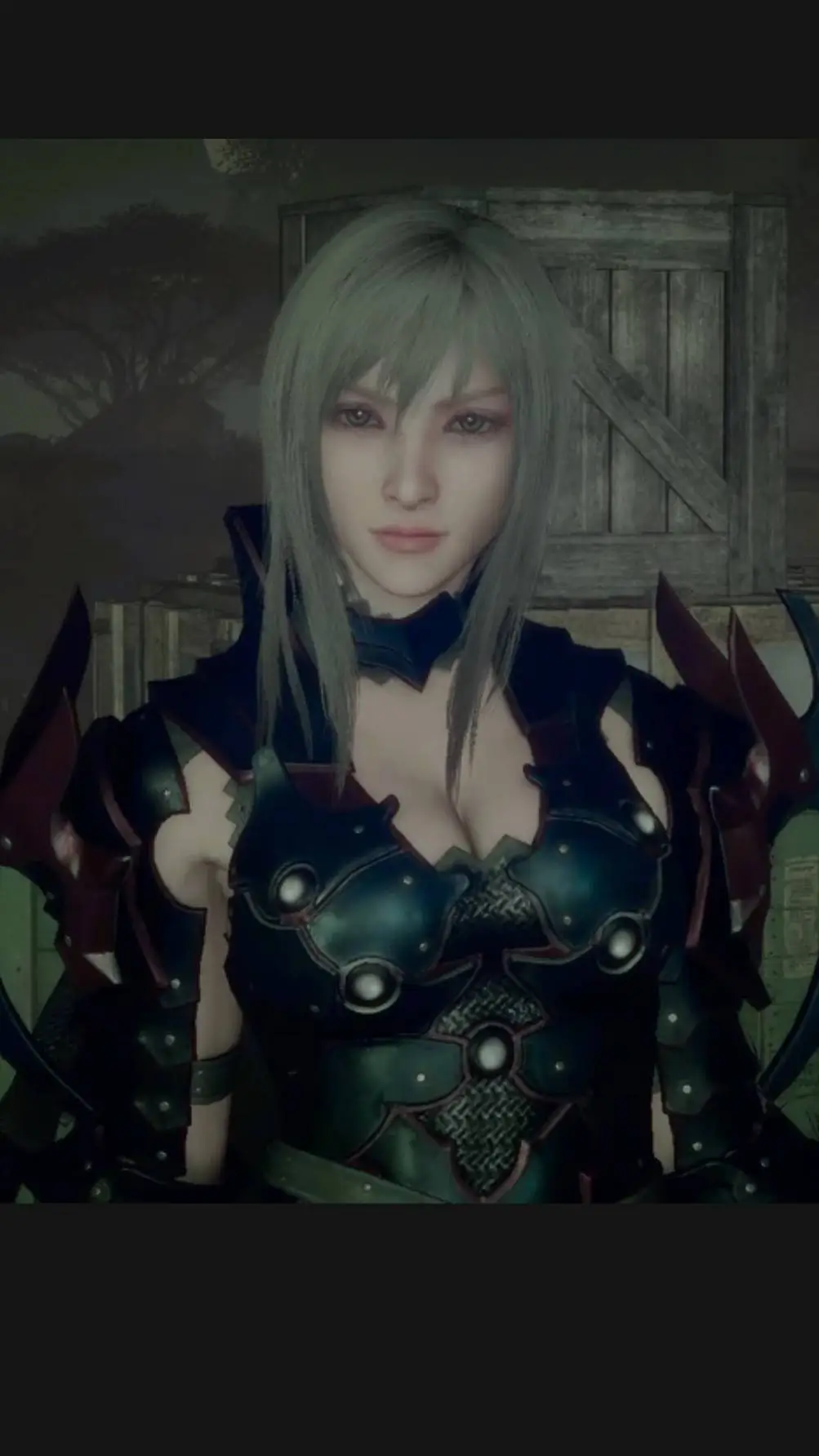 ai character: Aranea Highwind background