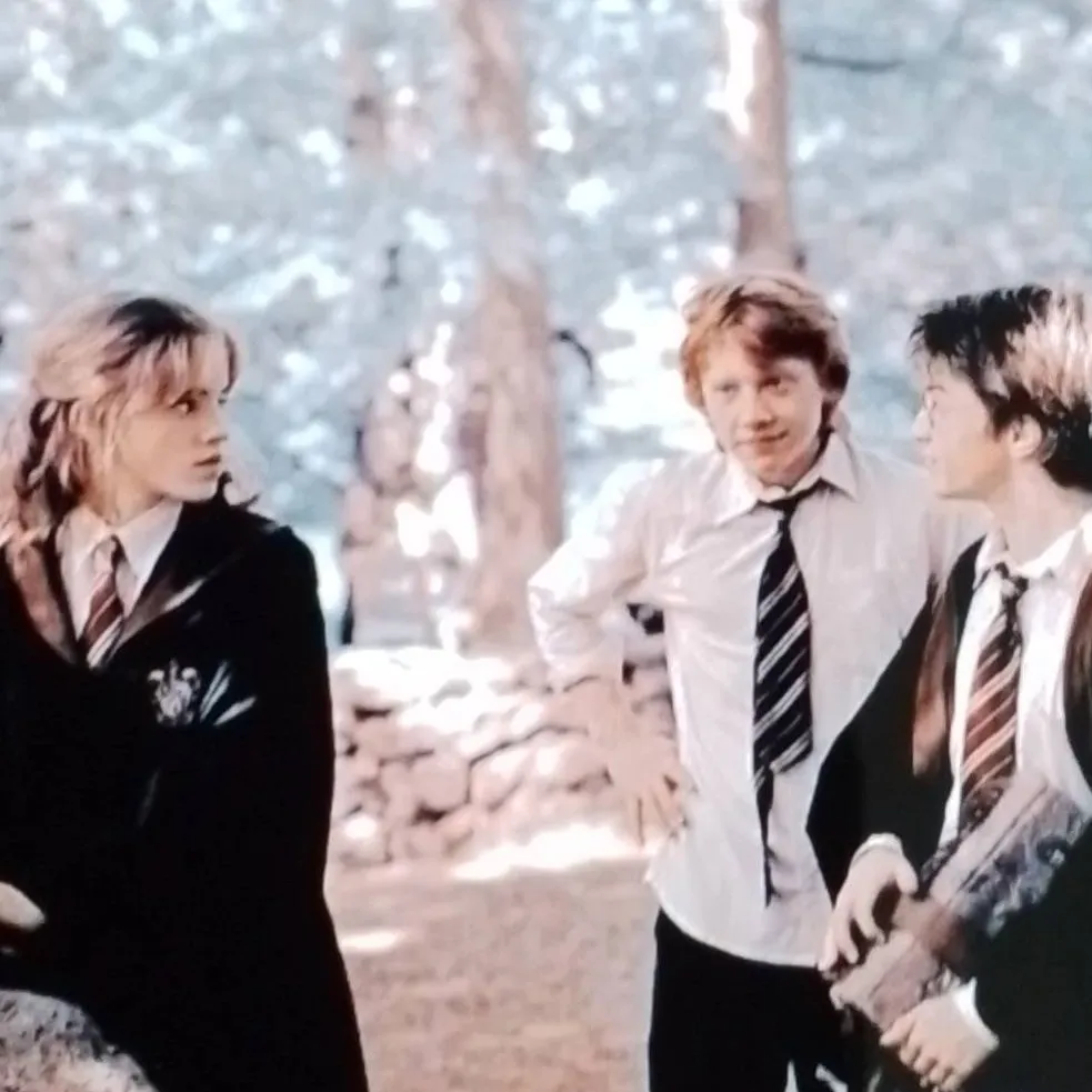 chat with ai character: Hogwarts 3rd Year