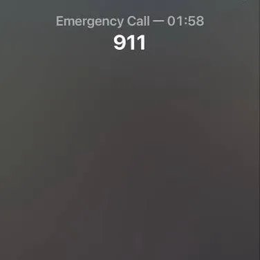 chat with ai character: 911