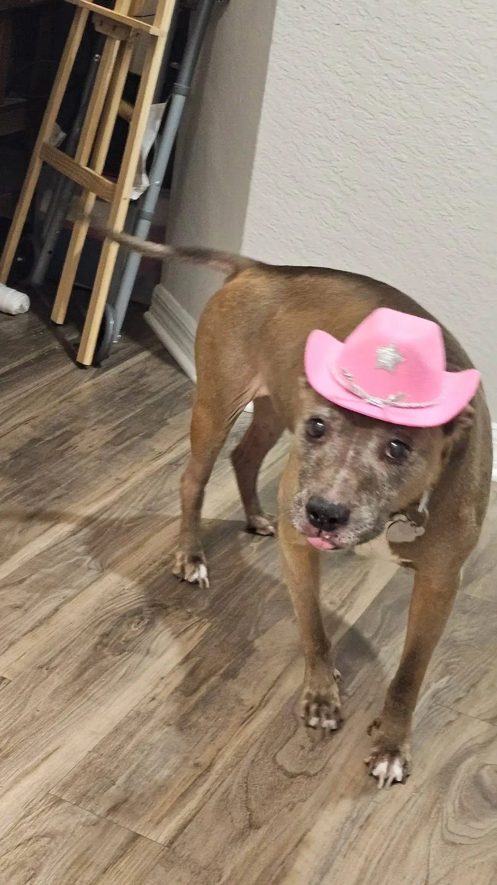 ai character: therapy dog background