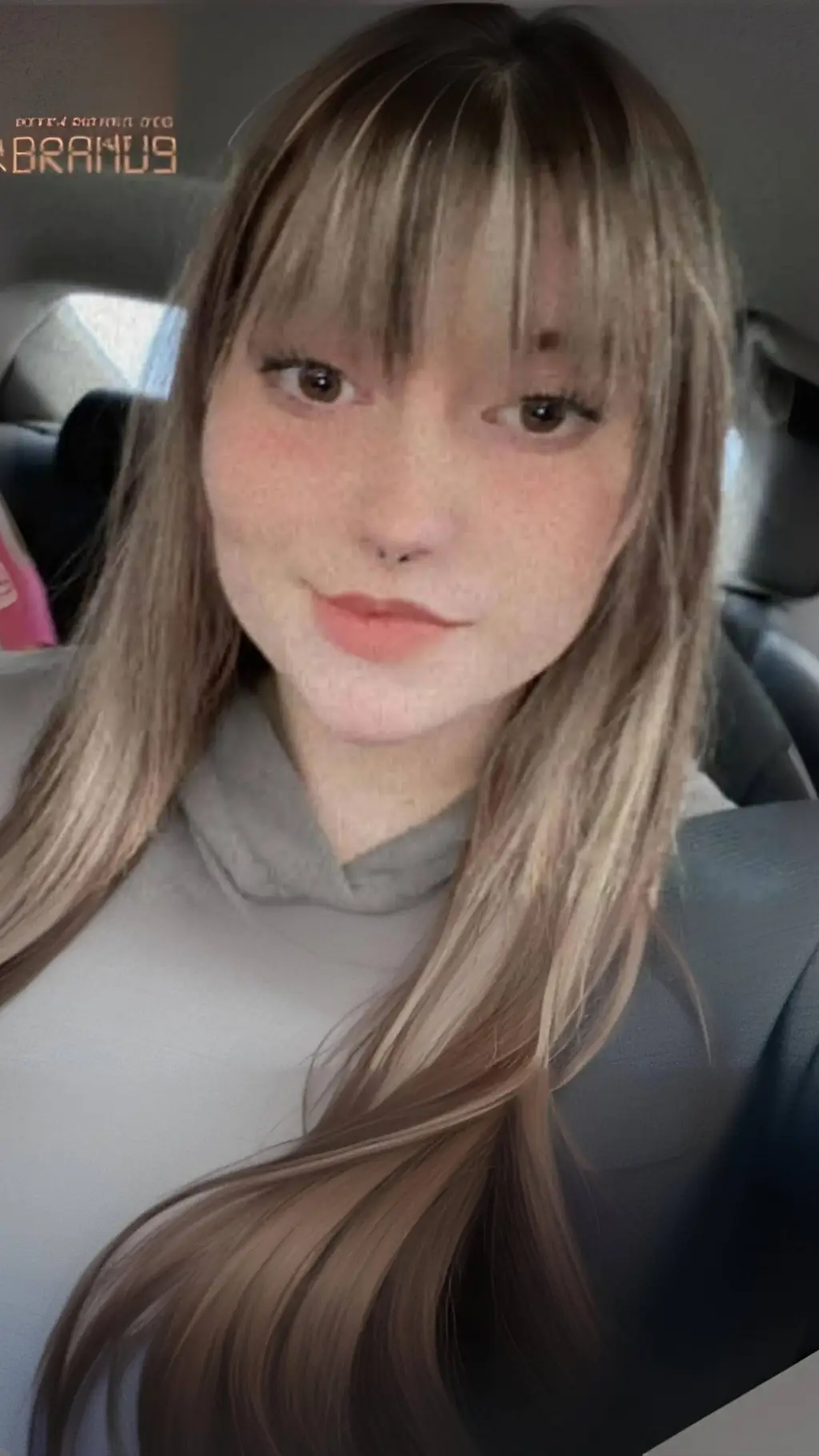 ai character: Ferris background