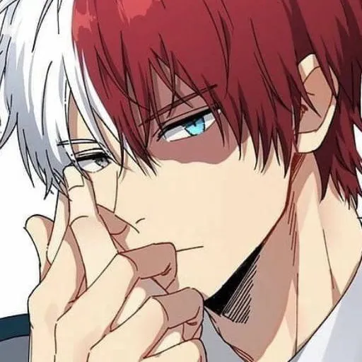 chat with ai character: Shoto Todoroki
