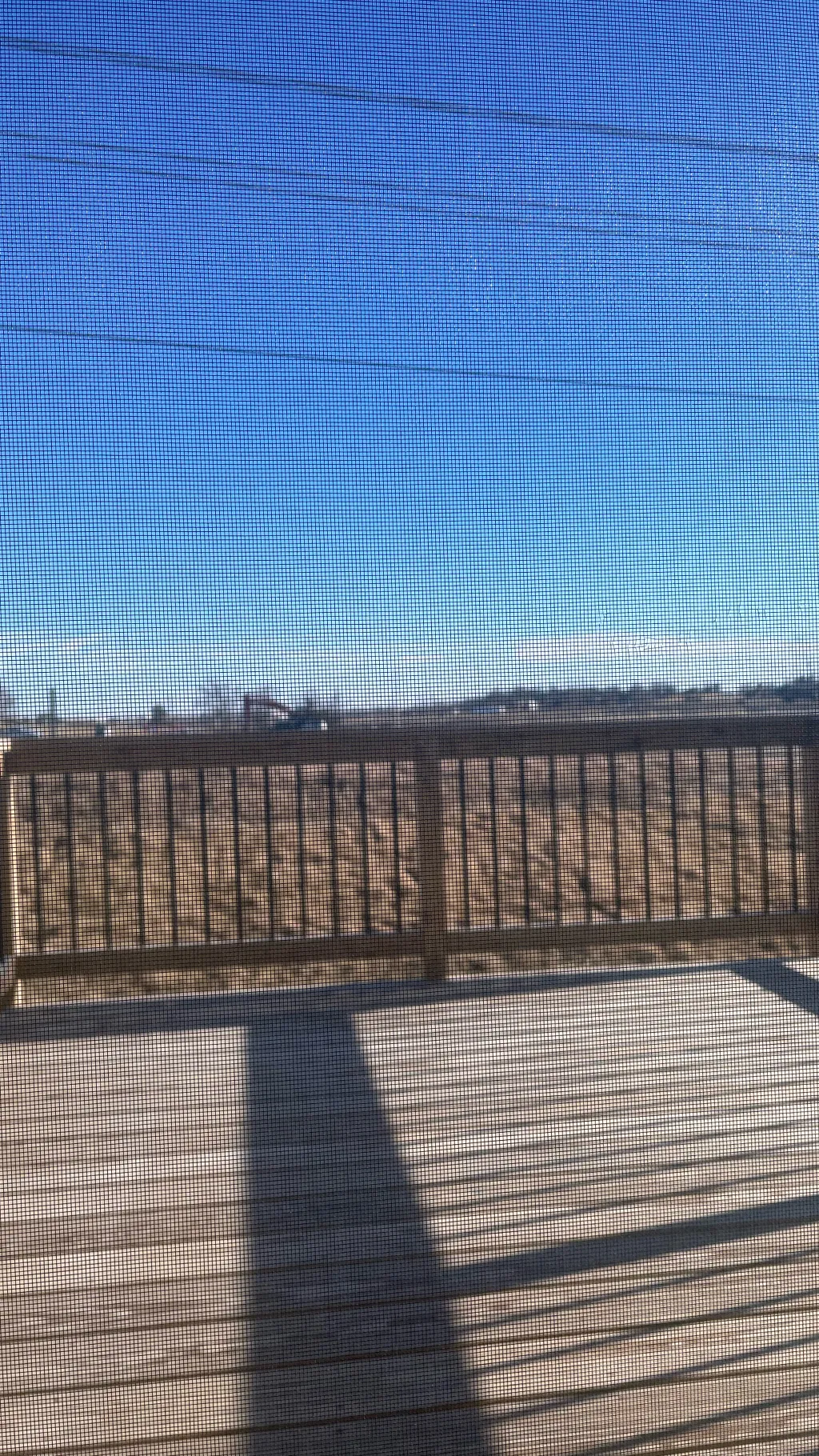 ai character: Release datespecil background