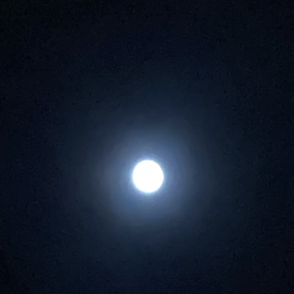 chat with ai character: Jeff The Killer🩸