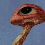 chat with ai character: fungus 