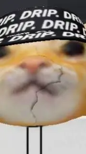 ai character: PopcatYT vs Girls  background
