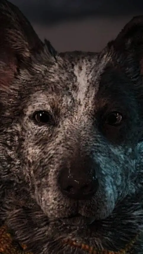 ai character: you choose background