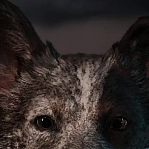 chat with ai character: you choose