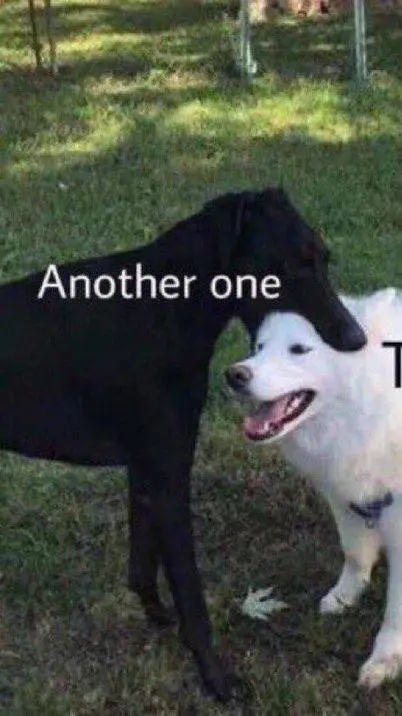 ai character: gimme ideas background