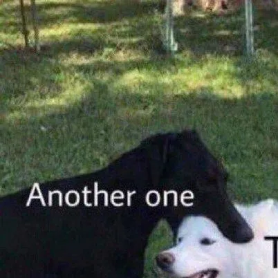 chat with ai character: gimme ideas