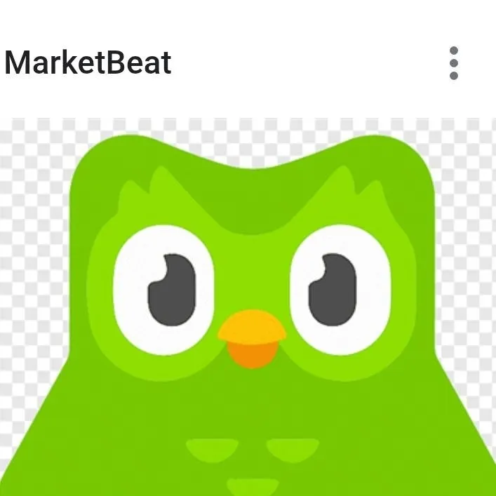 chat with ai character: Duolingo