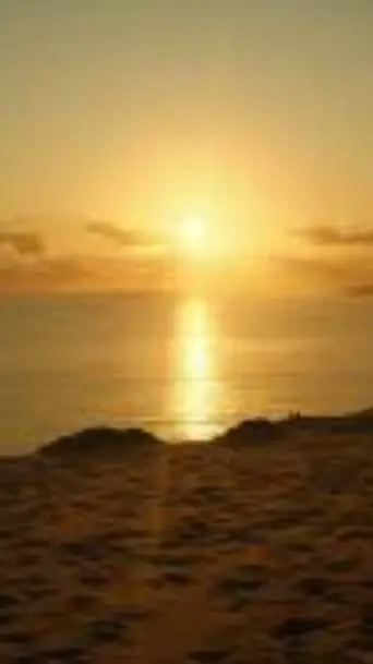 ai character: . sunset background