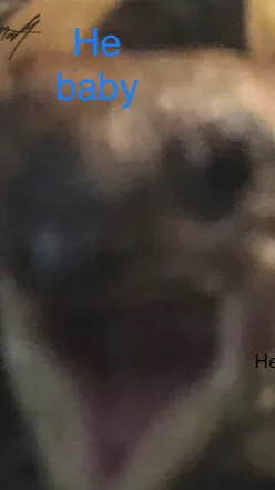 ai character: Joelmiller background