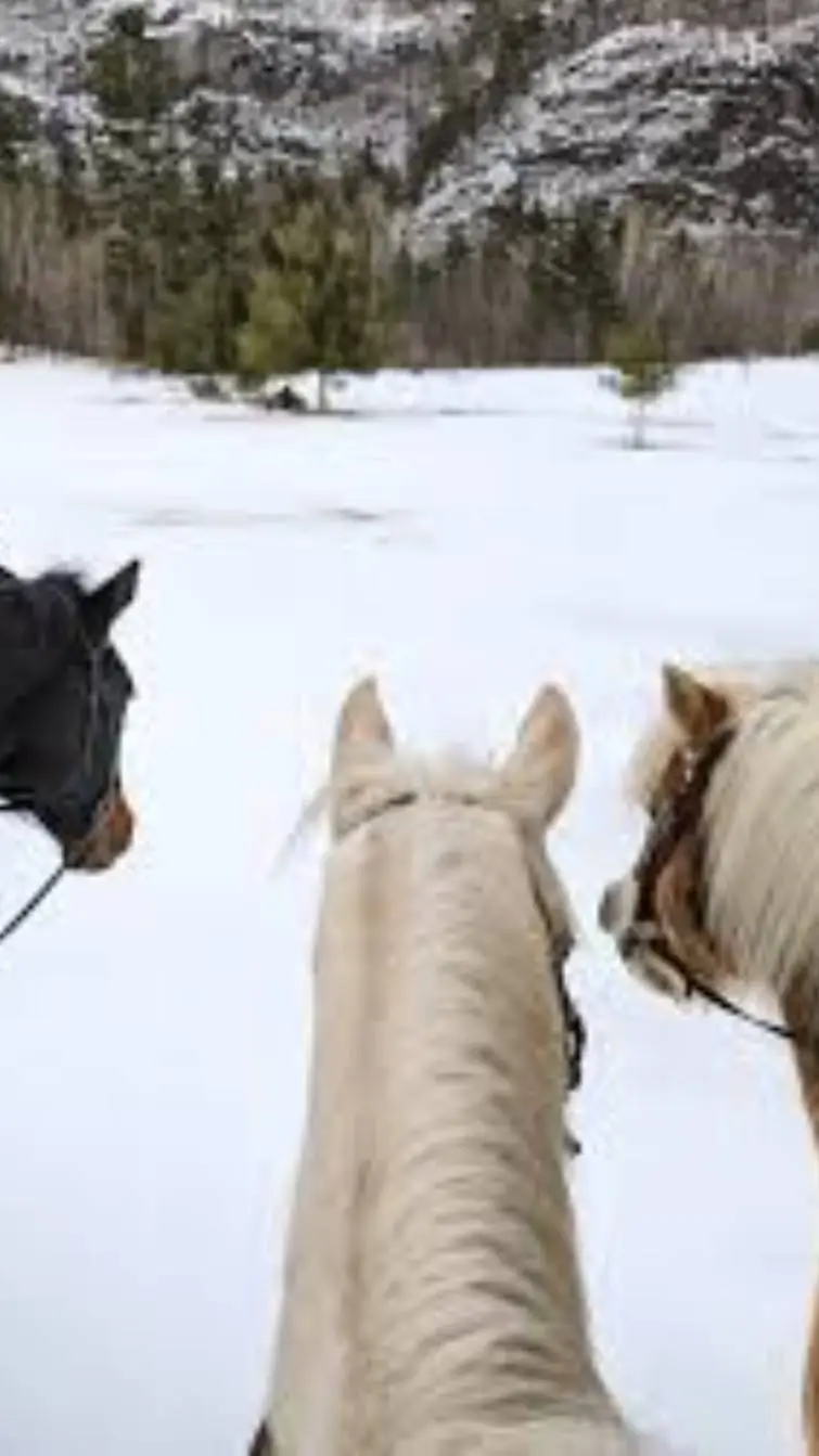 ai character: horse rp  background