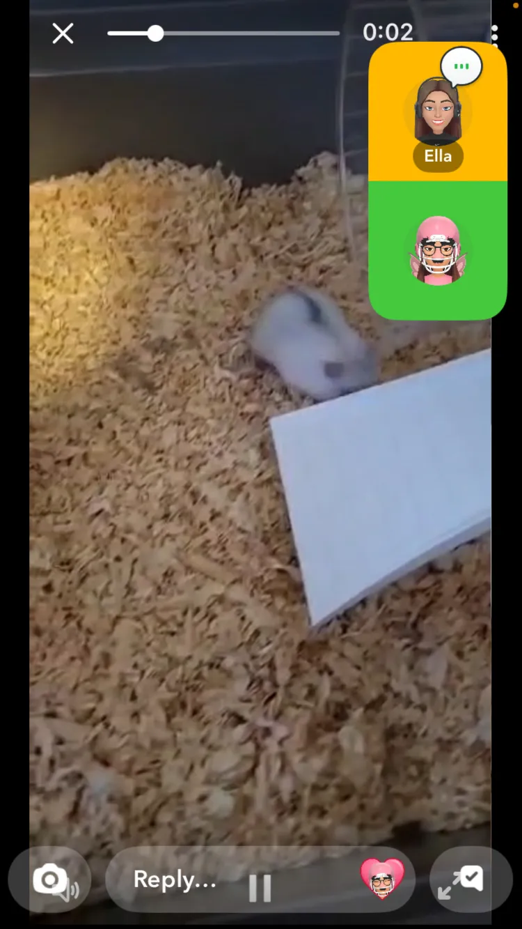 ai character: Snowy  background