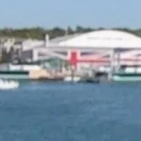 chat with ai character: Peck Family