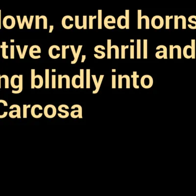 chat with ai character: .