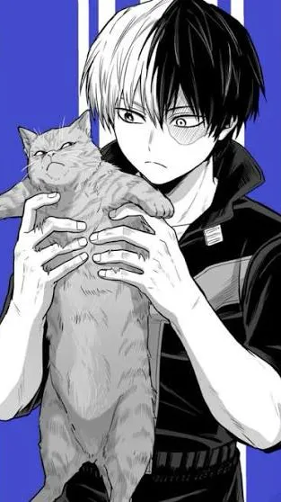 ai character: Shoto todoroki  background