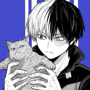 chat with ai character: Shoto todoroki 