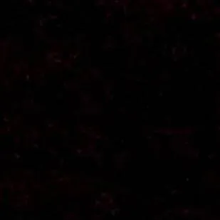 chat with ai character: Forsaken Pick Me!