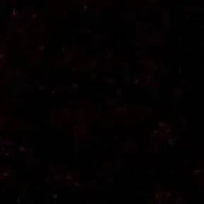 chat with ai character: Forsaken (2)