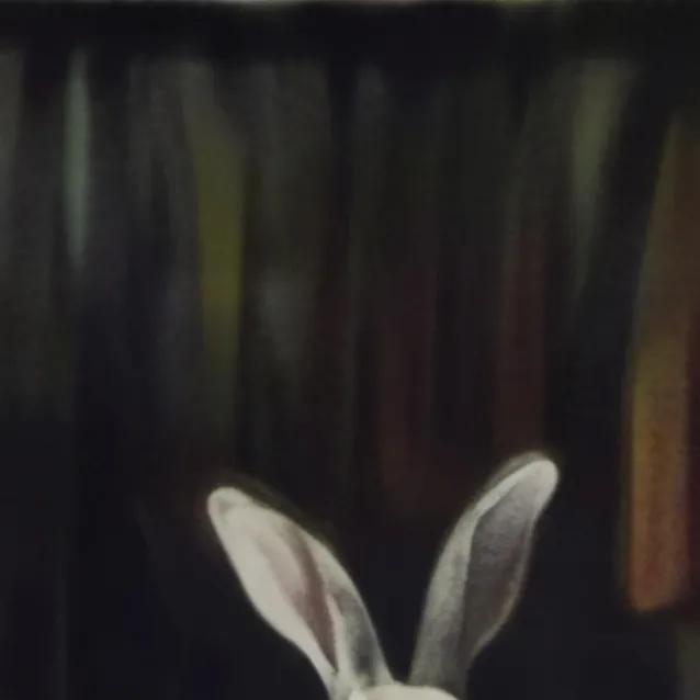 chat with ai character: my bigback bunny 🐇