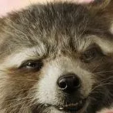 chat with ai character: rocket raccon 