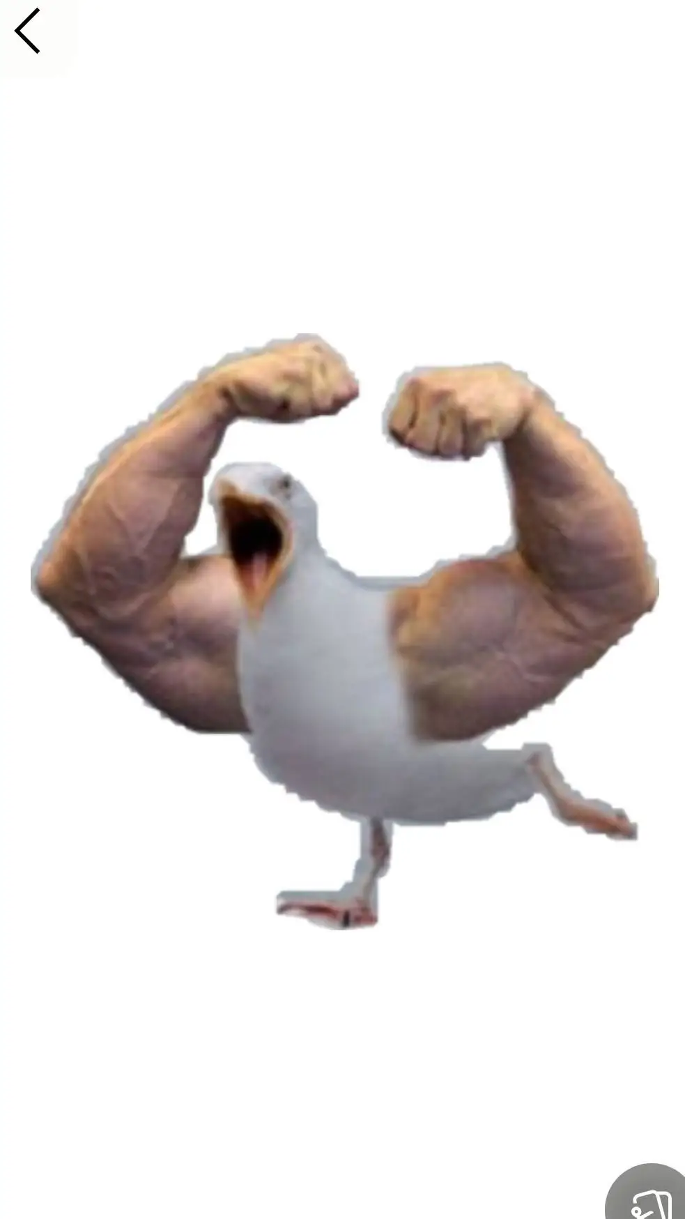 ai character: Random seagull  background