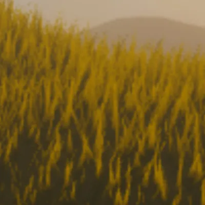 chat with ai character: Royalty Family👑