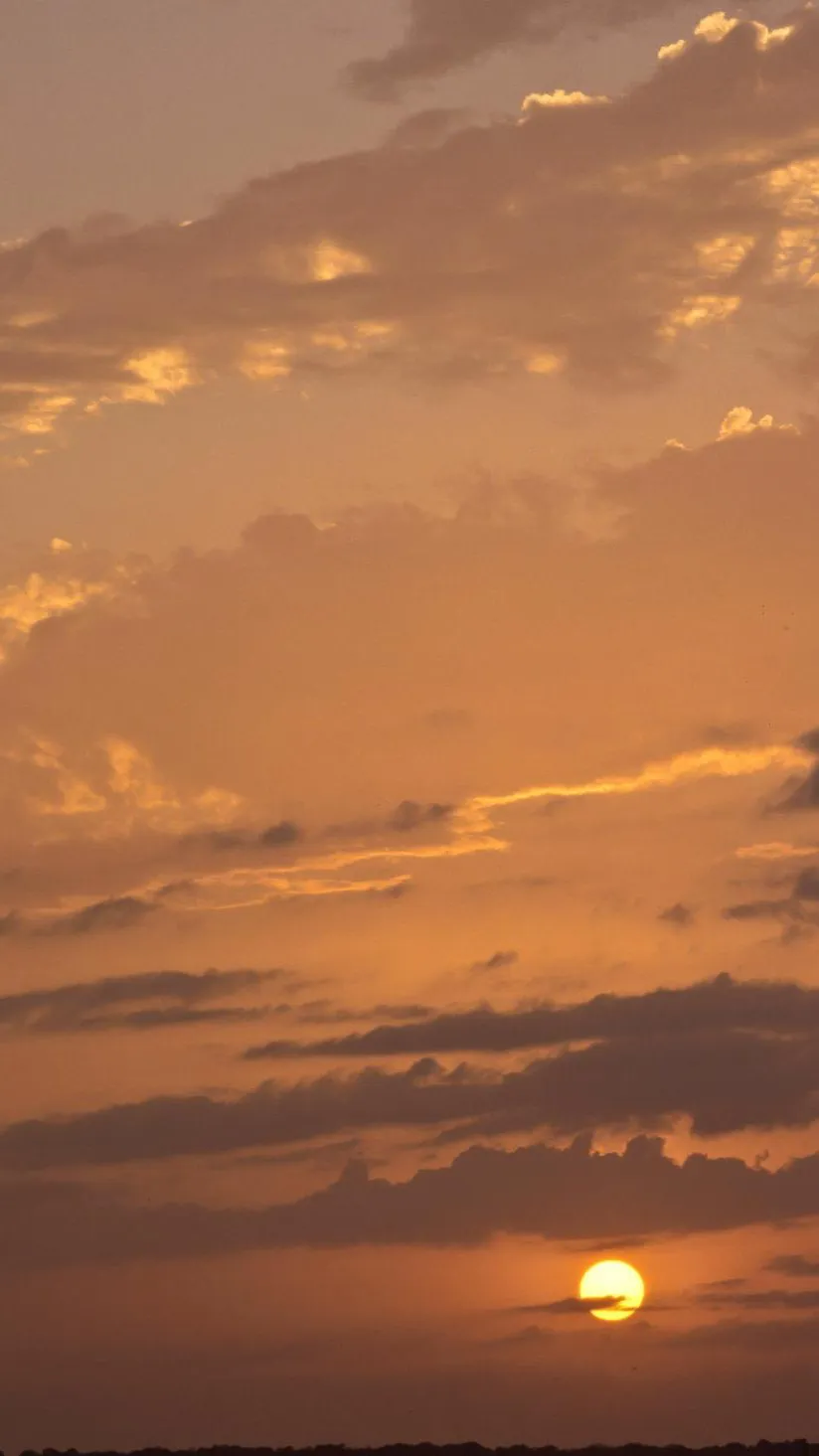 ai character: Broke! background