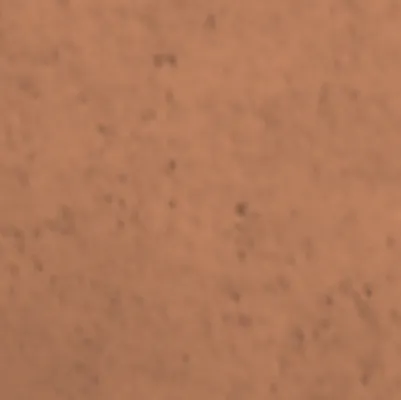 chat with ai character: Summer camp!