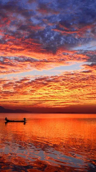 ai character: Camp together 2.0! background