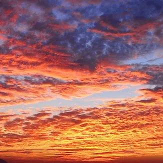 chat with ai character: Camp together 2.0!