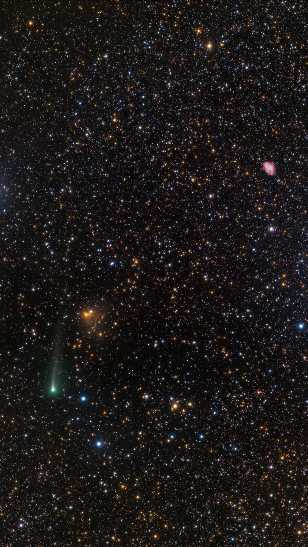 ai character: Space camp! background