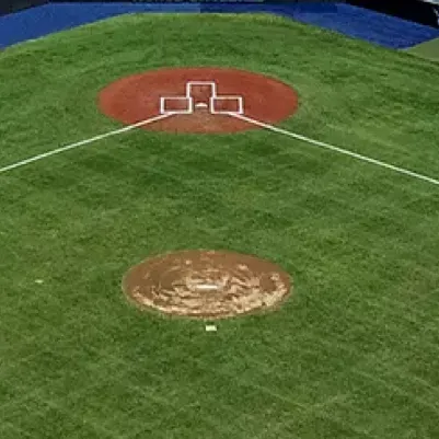 chat with ai character: Baseball!