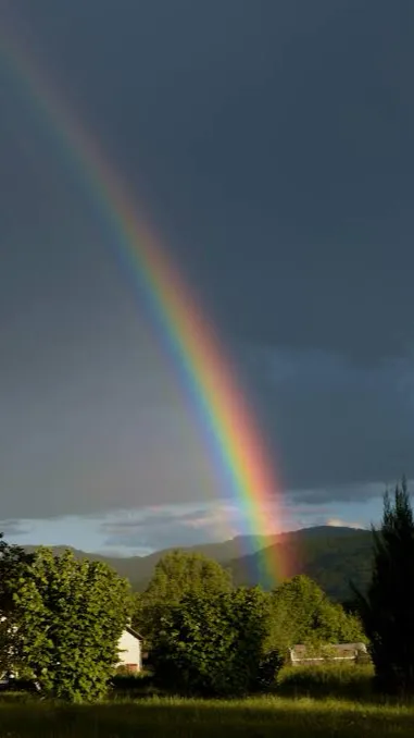 ai character: Kaido x Nidal background