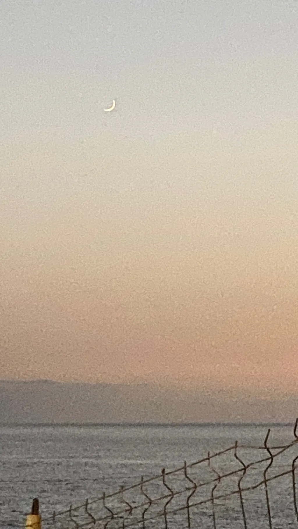 ai character: Teen wolf background